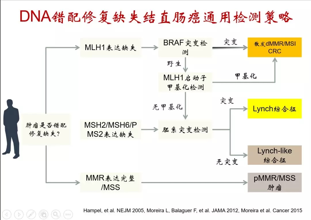 mmr胚系突变—lynch综合征(hnpcc)