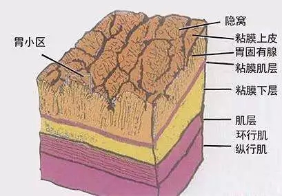 640.webp (21).jpg