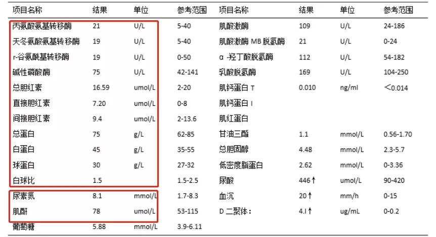 1,肝功能异常