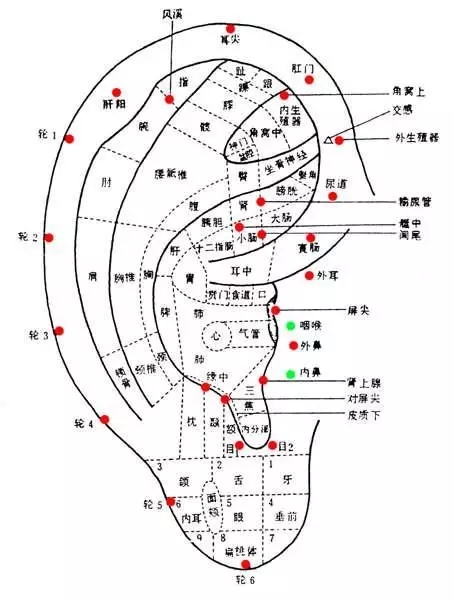 "耳穴按摩"可以缓解癌症患者的疲乏无力?